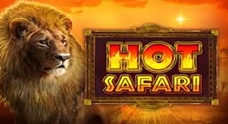 HotSafari